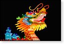 china light licht festival lichtshow show festiviteit glow evenement event chinees chinese verlichting draak dragon lichtfestival zoo